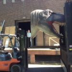 Mullins Rigging Dino