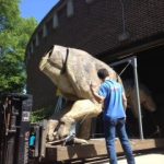 Mullins Rigging Dino